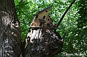 VBS_4826 - Il bosco fatato - Montaldo Roero